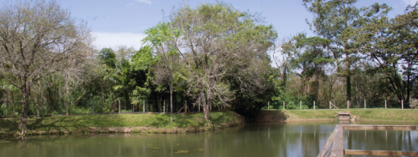 Parque Ambiental dos Sabis