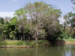 Parque Ambiental dos Sabi�s